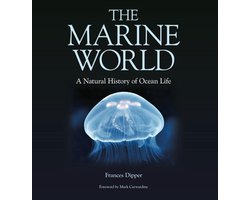 Marine World