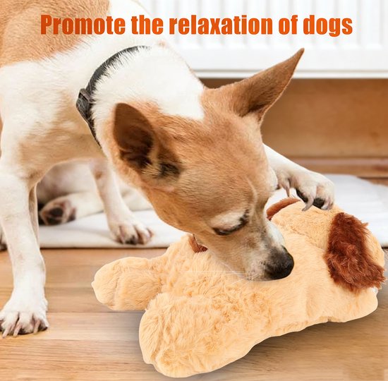 Bruin-witte hond die met zijn neus speelt met een slapend bruin hondje.