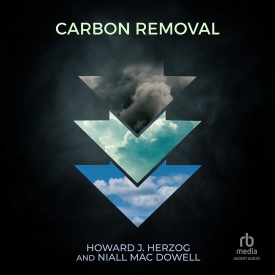 Boekomslag met de titel CARBON REMOVAL, met pijlen die van donkere rook naar lucht met wolken en blauwe lucht gaan.