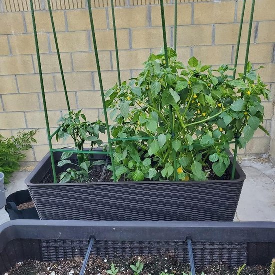 20 Stuks Groene Plantsteunen - Ondersteuningsstokken voor Tuinplanten, Bloemen en Groenten met Verbindingselementen van Merkloos — afbeelding 4