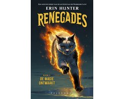 Renegades - De magie ontwaakt