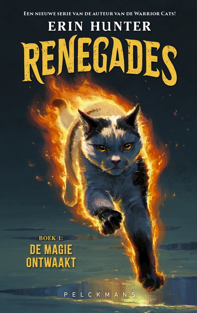 Renegades - De Magie Ontwaakt