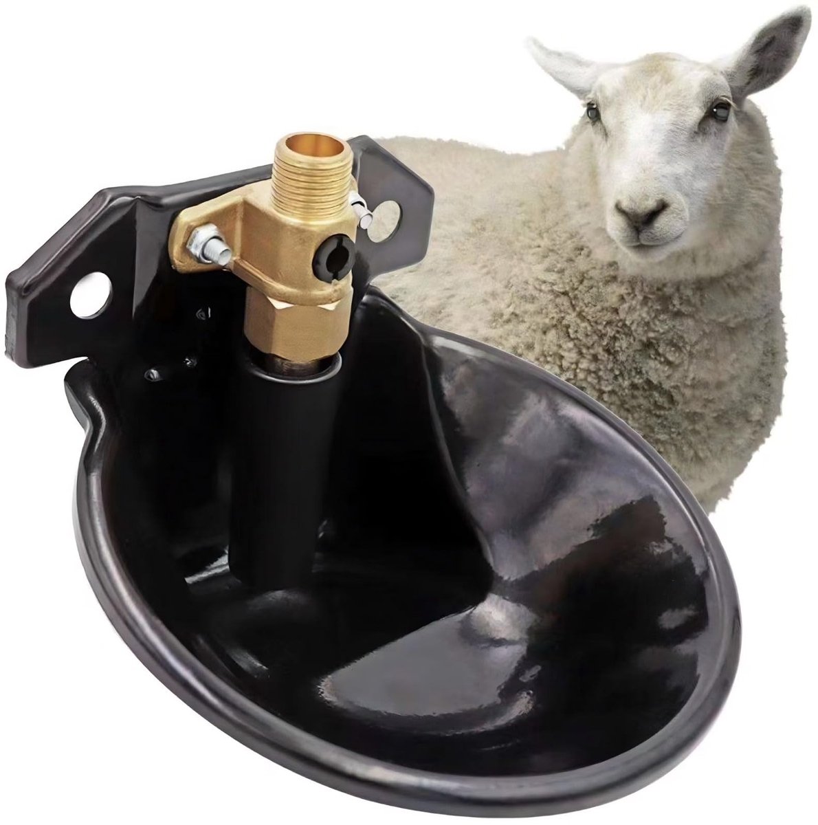 Dailygoods - Dailygoody - Schapenwaterschaal - Automatische drinkbak - Hygiënisch en veilig - 19 x 17 x 14 cm - Ideaal voor schapen en geiten - Vee benodigdheden v