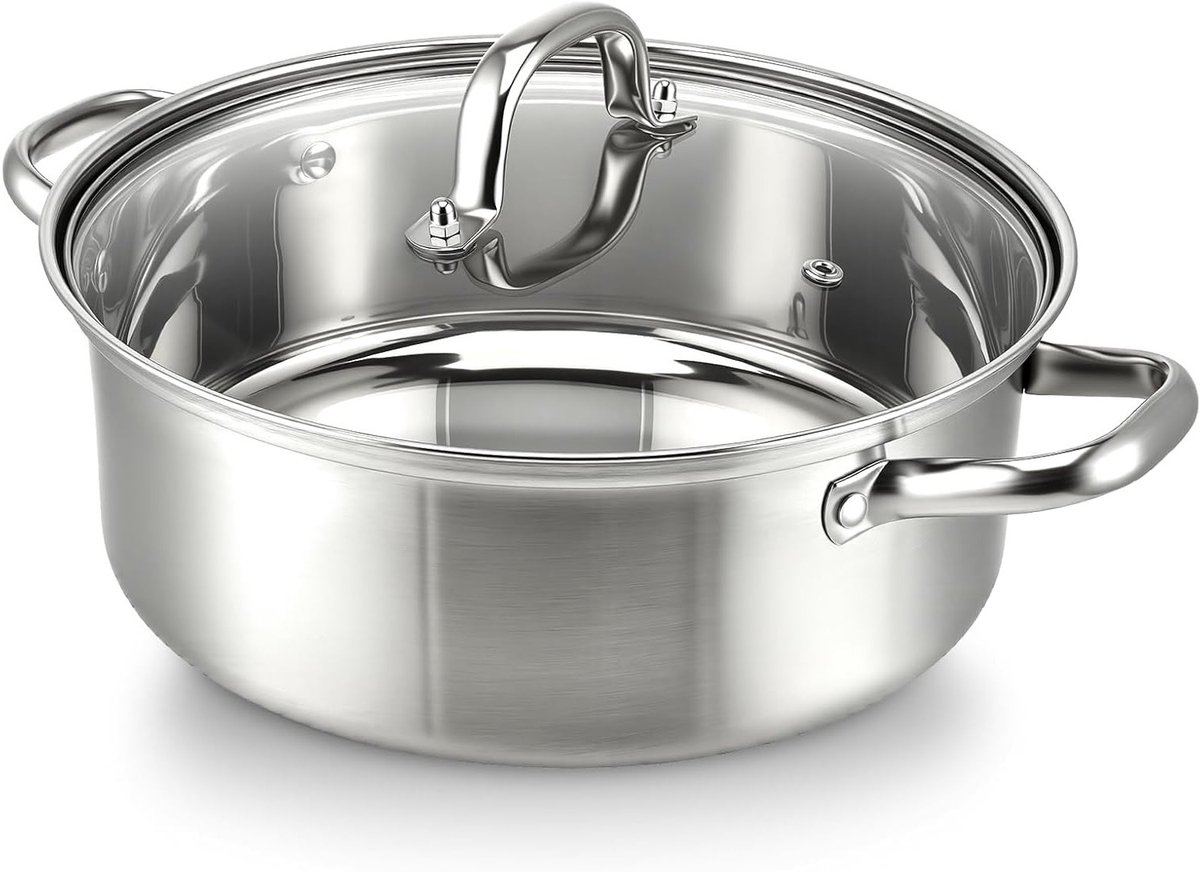 RVS Stoofpan 26 cm, Geschikt voor Alle Hittebronnen, Ovenbestendig en Gezond Koken zonder PTFE/PFOA, Ideaal voor Smaakbehoud