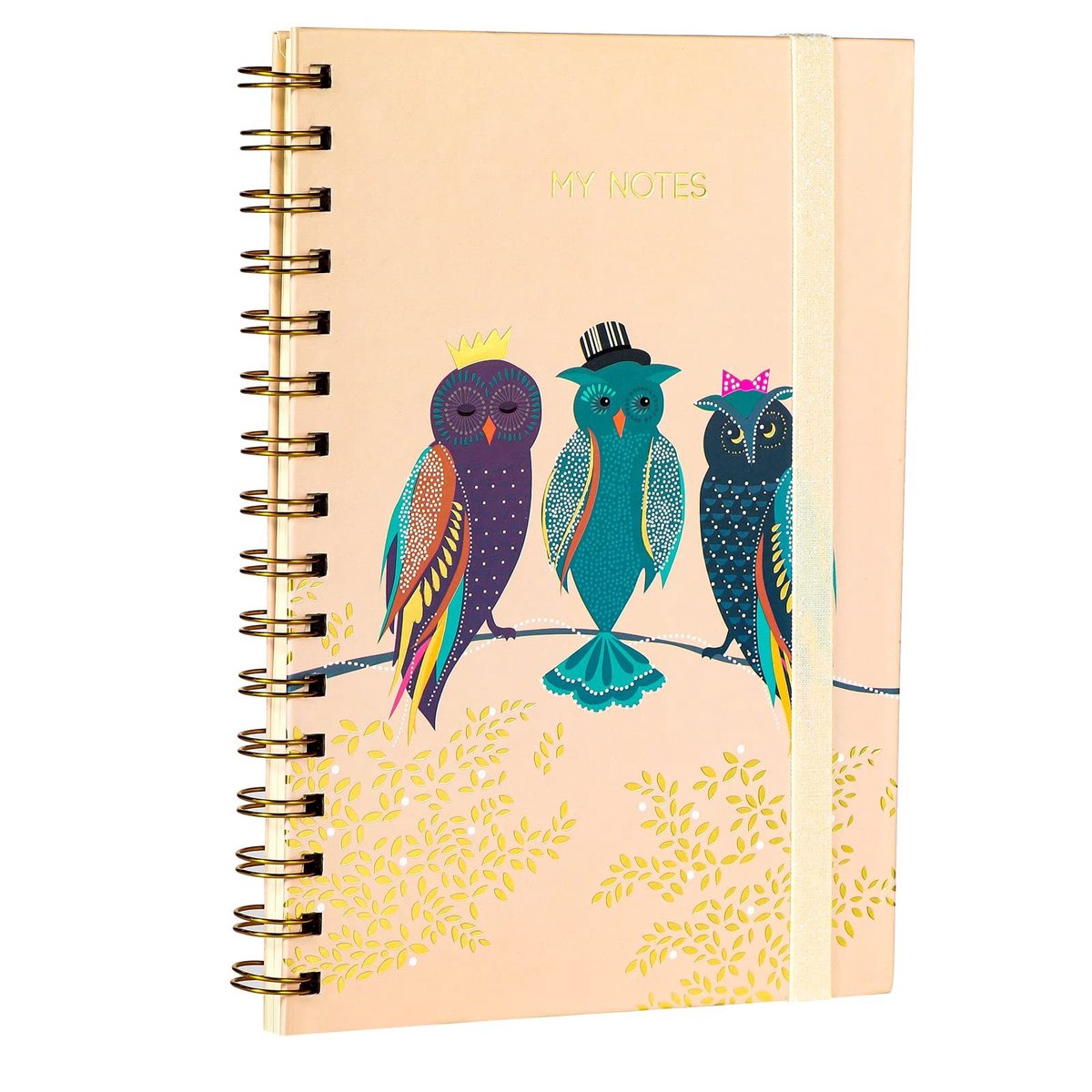 Dailygoods - Dailygoody - Notitieboek - Spiraalblok - A5 formaat - Gelinieerd - Dagboek - 120 pagina's - Geschikt voor school en kantoor