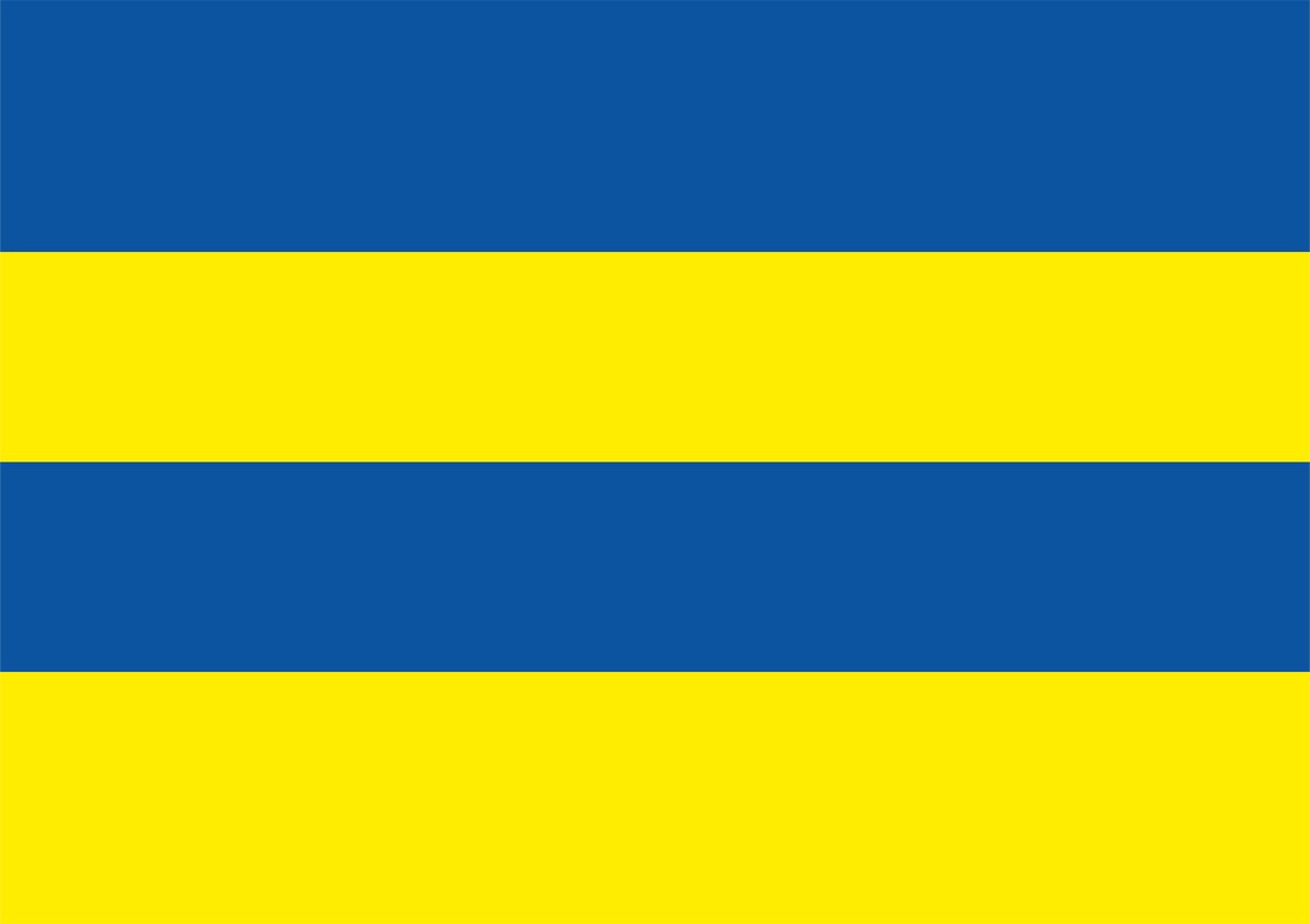 Vlag Franeker formaat 70 x 100 cm van Shirtmakelaar