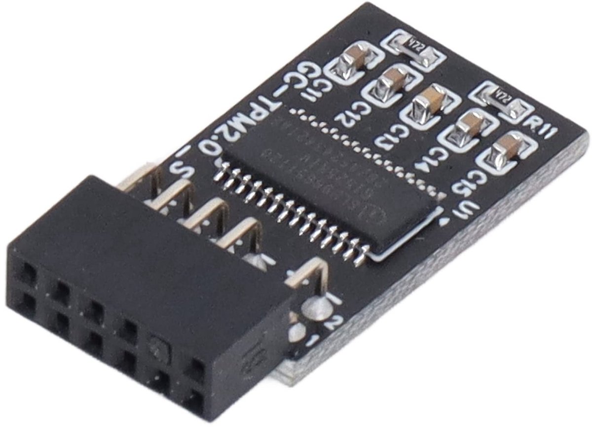 Dailygoods - TPM 2.0 Module voor Beveiliging van Moederborden