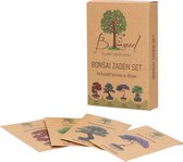 B-seed Zaden Set Incl. e-Book Bonsai Zaden Kweken - Boompje in Pot - Kamerplanten - Kweekset