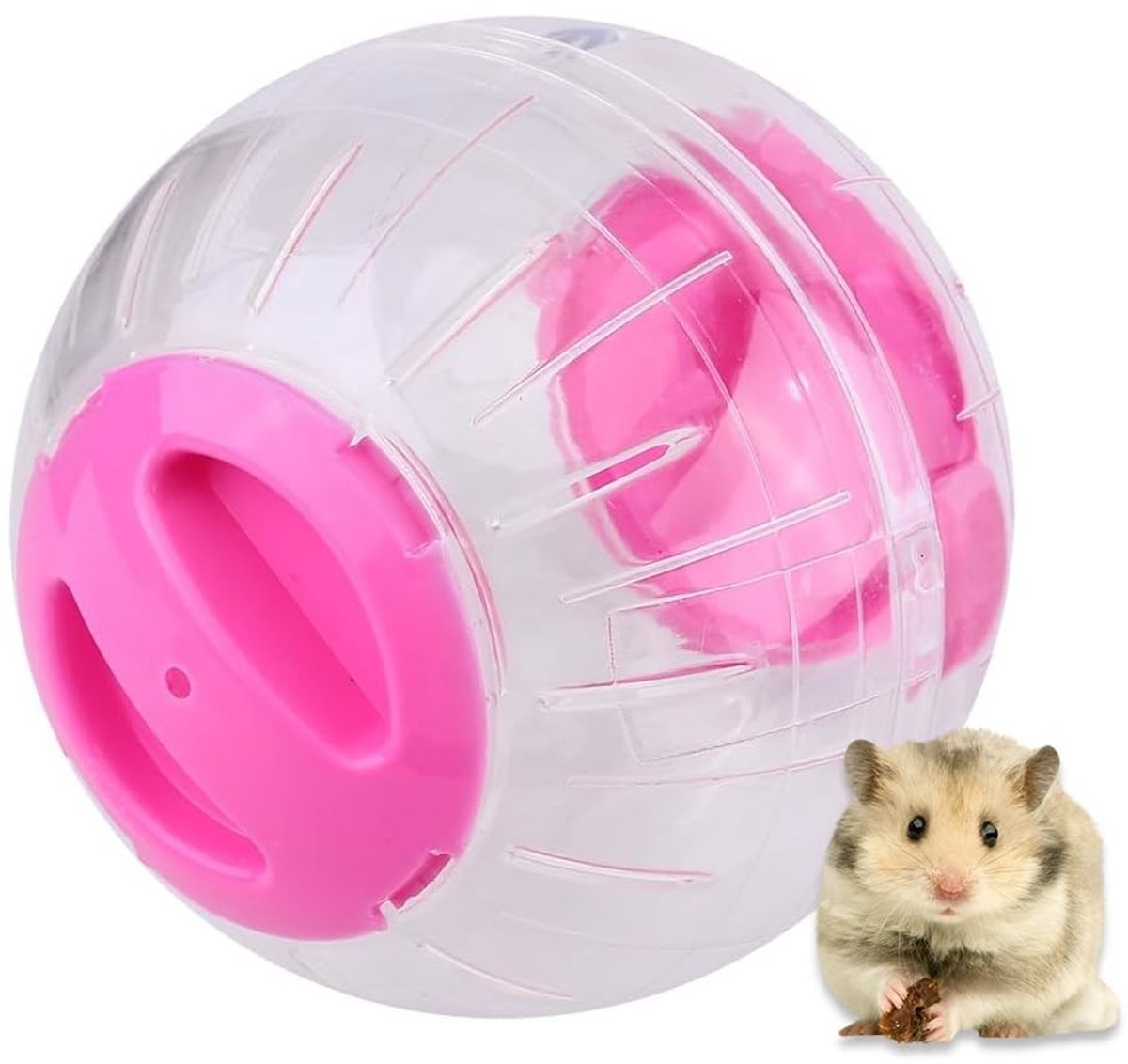 Dailygoods- Oefenbal 4,7 inch - Transparant - Hamsteroefenbal - Dierenspeelgoed - Kunststof - Voor hamster spelen - Hamsterbal