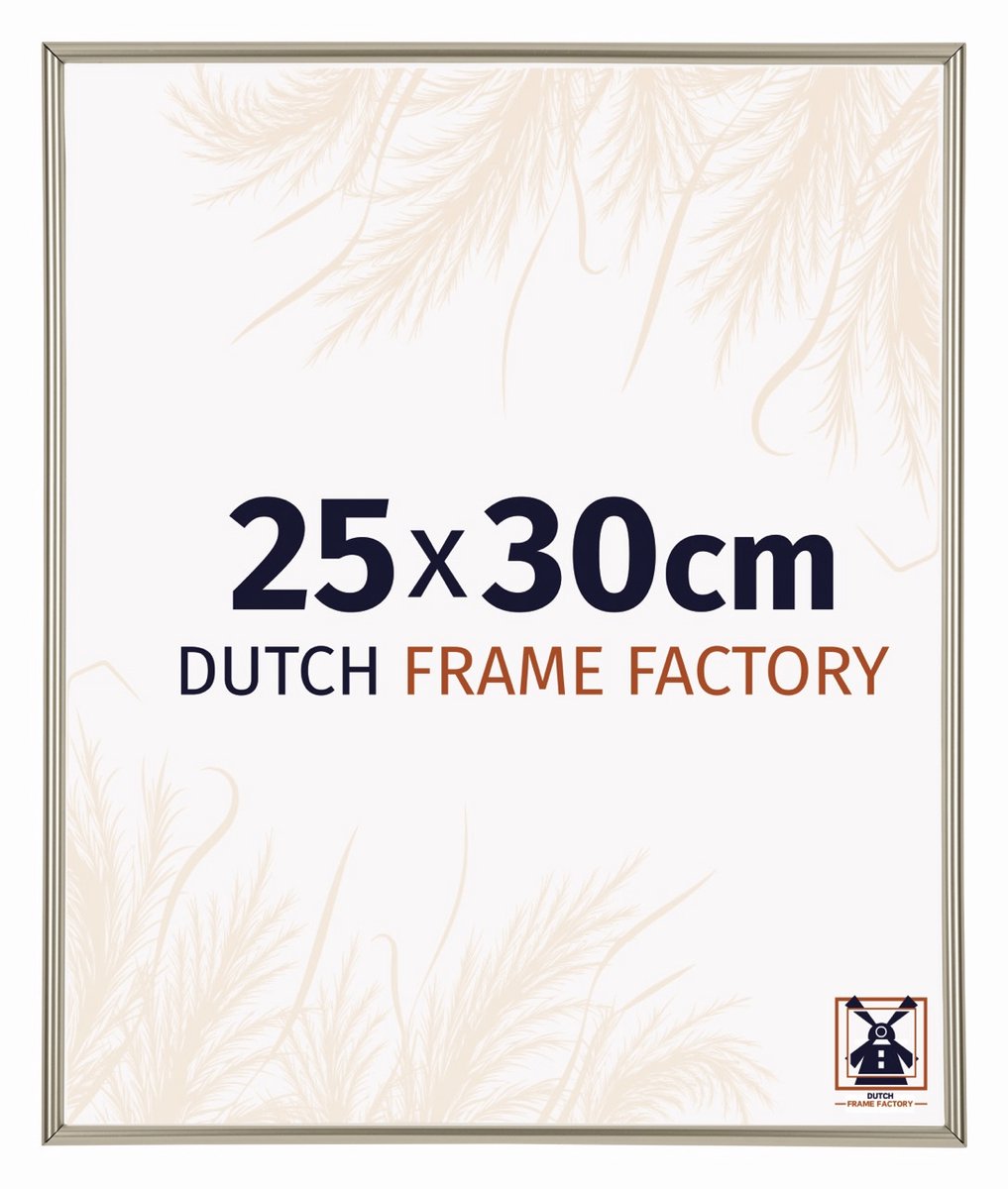 Dutch Frame Factory Fotolijst 25x30 cm - Kunststof - Champagne - Angers