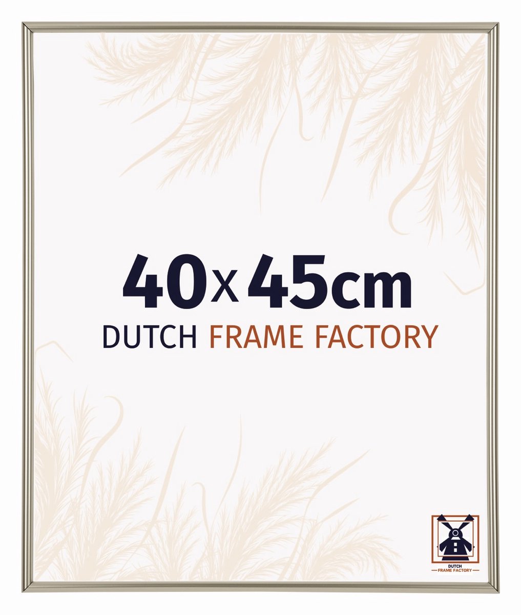 Dutch Frame Factory Fotolijst 40x45 cm - Kunststof - Champagne - Angers