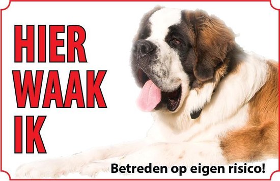 Bord - Hond-Sint-bernard