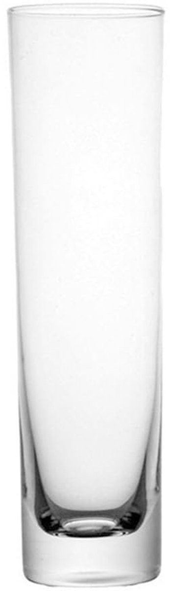 Dailygoods- Glazen Vaas Hoogte 17,5 cm - Glazen Vaas Cilinder - Bloemenvazen voor Binnen - Modern Ontwerp - Helder Transparant Glas - Ideale Afmetingen - Bloemenvase