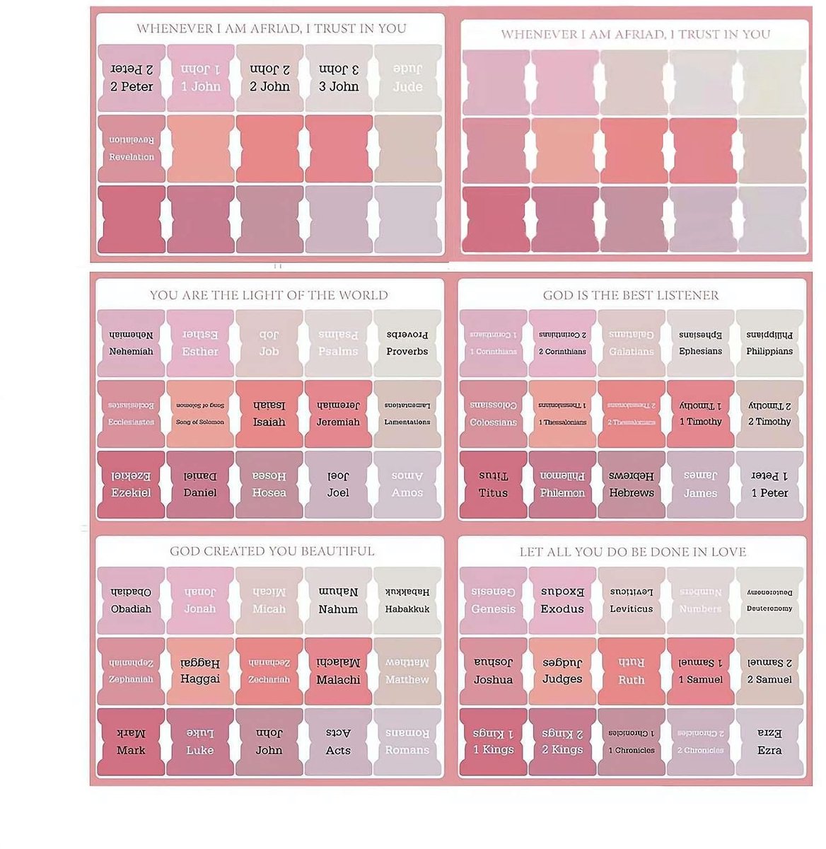Dailygoods- Bijbeltabs - Bijbel Tabstickers - Bible Journaling - 1 Stuk - Nederlands - Handige Indeling - Bijbelstickers