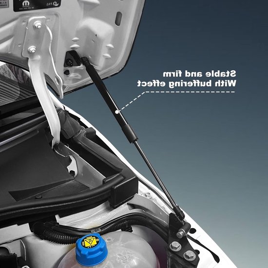 Gasgeveerde Motorkap Steun voor Fiat 500 500c 500e Abarth 595 695 - Hydraulische Lifting Stangen Set van 8 (Zwart) — afbeelding 2