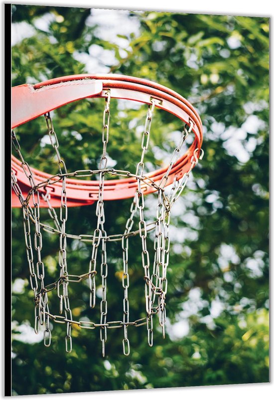 Dibond –Basketbal Ring– 80x120cm Foto op Aluminium (Wanddecoratie van metaal)