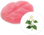 Scentchips® Jasmijn - Geurblokjes - Huisparfum - Geurchips - Waxmelts - Geschikt voor Geurbrander en Waxbrander - L - 26 Stuks