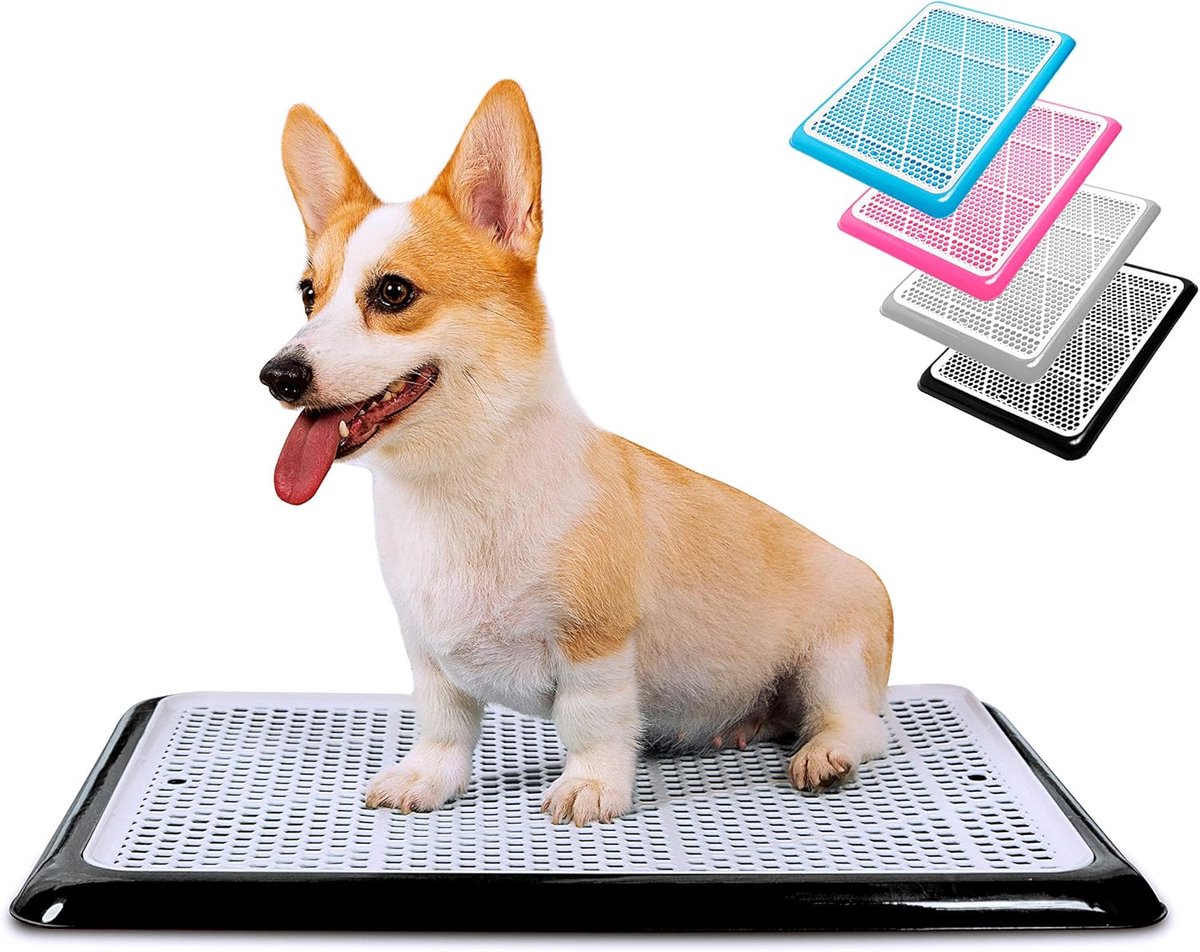 Honden Plasbak - Puppy Toilet - Zindelijkheidstraining Binnen - Glad Plastic Oppervlak - 25x20 Inch - Grijs