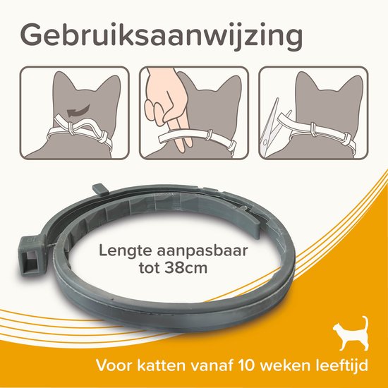 Grijze Beaphar medicinale halsband voor katten, illustratie van hoe de halsband aan te passen. Tekst: 'Gebruiksaanwijzing Lengte aanpasbaar tot 38cm Voor katten vanaf 10 weken leeftijd'.