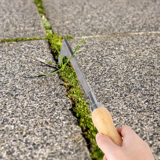 Dailygoods - Voegenschraper, onkruidsteker van roestvrij staal, houten handvat, roestvrijstalen kop met maat, onkruidsteker voor het verwijderen van onkruid, planten van groenten, bloemen, graven, snoeien en snijden van Dailygoods — afbeelding 4