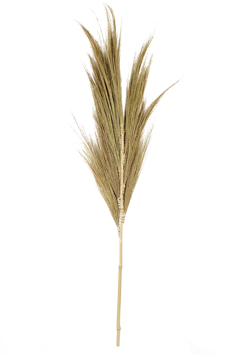 J24 Mini Hooi Pluim Natuurlijk