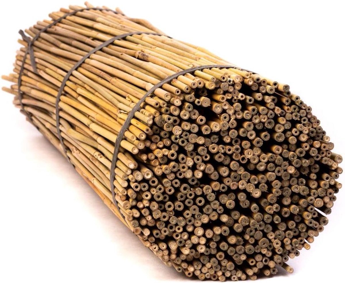 Bamboestokken - Plantensteunen - Planten Ondersteunen - Milieuvriendelijk Robuust - 90cm 25 stuks - Natuurlijk