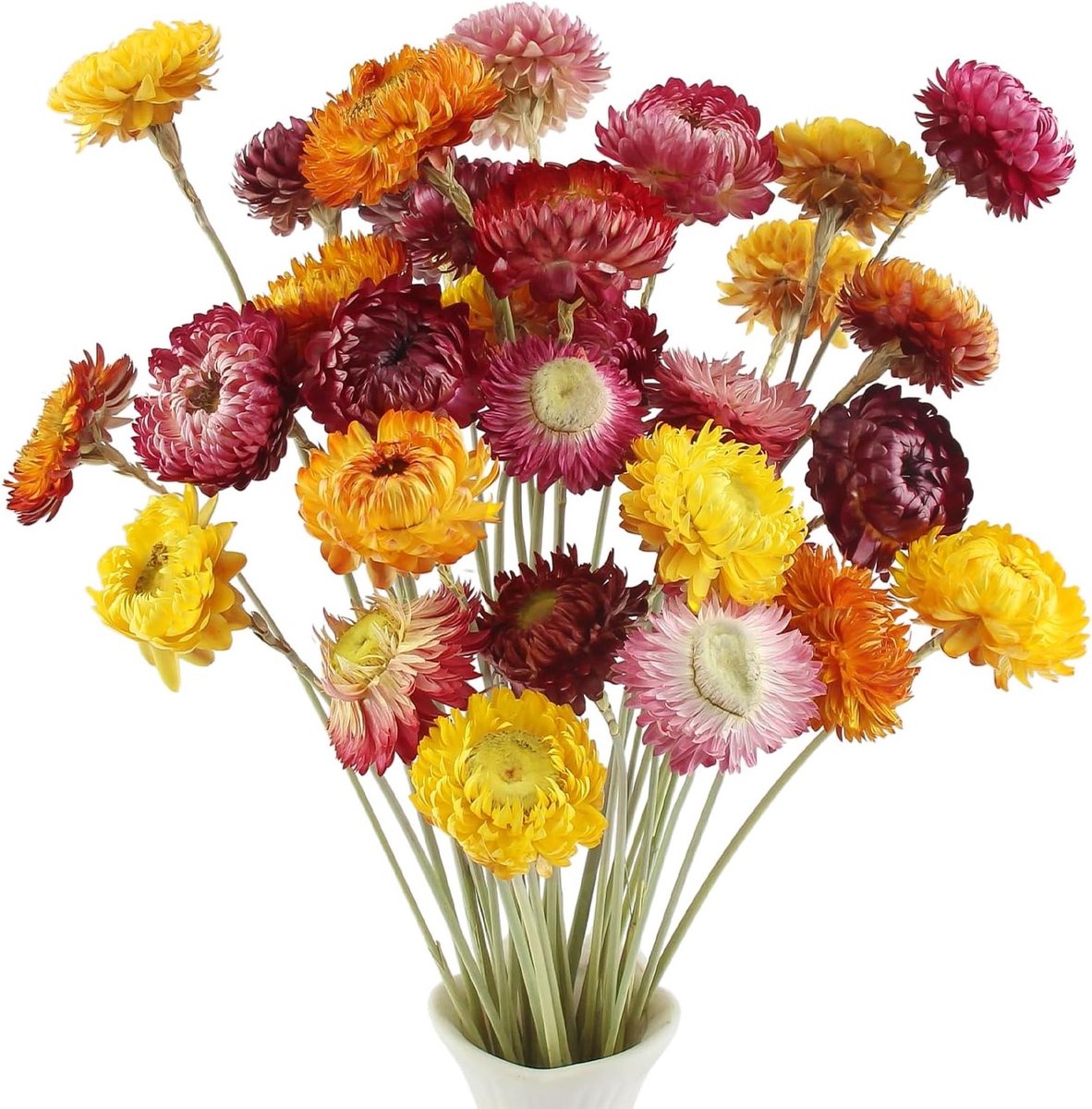 Set van 32 Decoratieve Gedroogde Bloemen - Natuurlijke Daisy en Stabilized Dried Flowers voor Bruiloften, Thuisdecoratie, Feestjes en Creatieve Projecten
