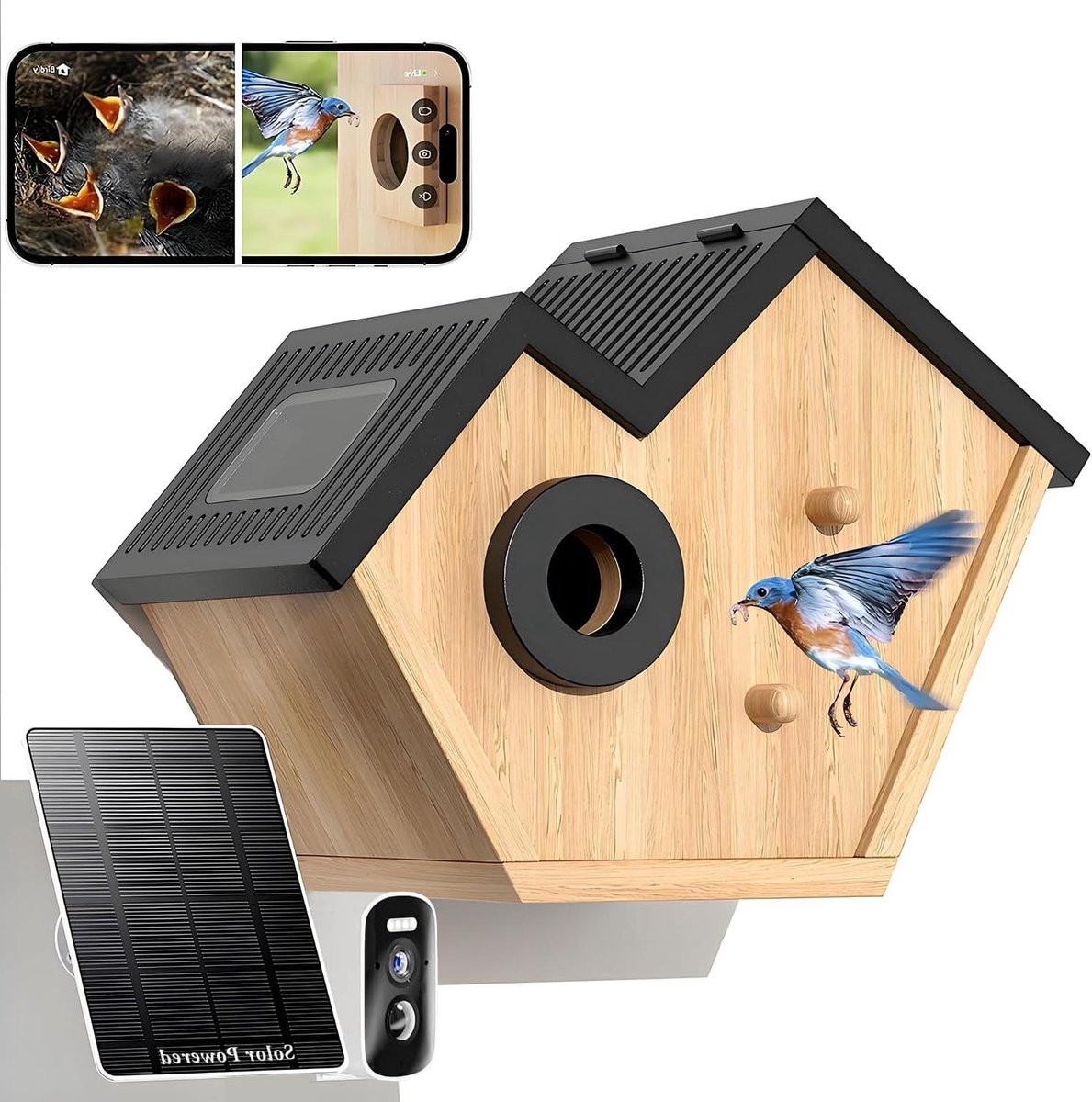 Vogelhuisje met Camera - Wildcamera - Nestkasje - Vogelspotten