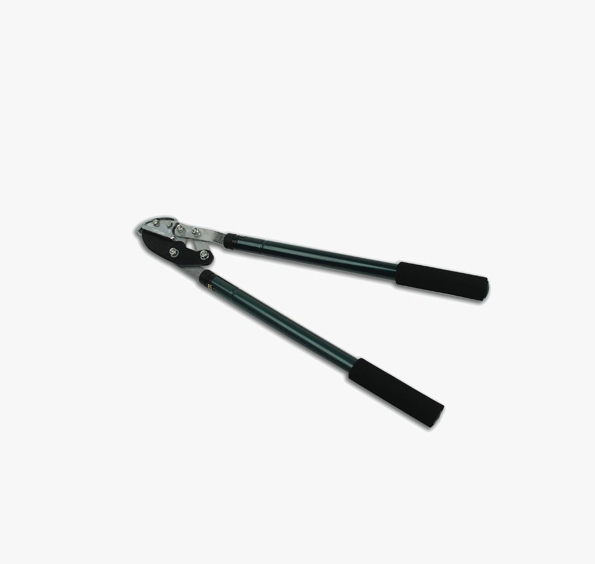 Telescopische Takkenschaar - Hefboom Snoeischaar - Takken Snoeien - Krachtige Hefboomoverbrenging - Uittrekbaar tot 98cm - Groen Zilver