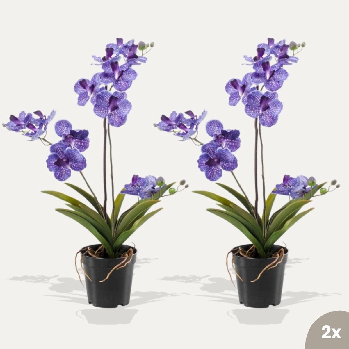 Orchidee Vanda paars 2 stuks - Kunstplanten - Bundelset