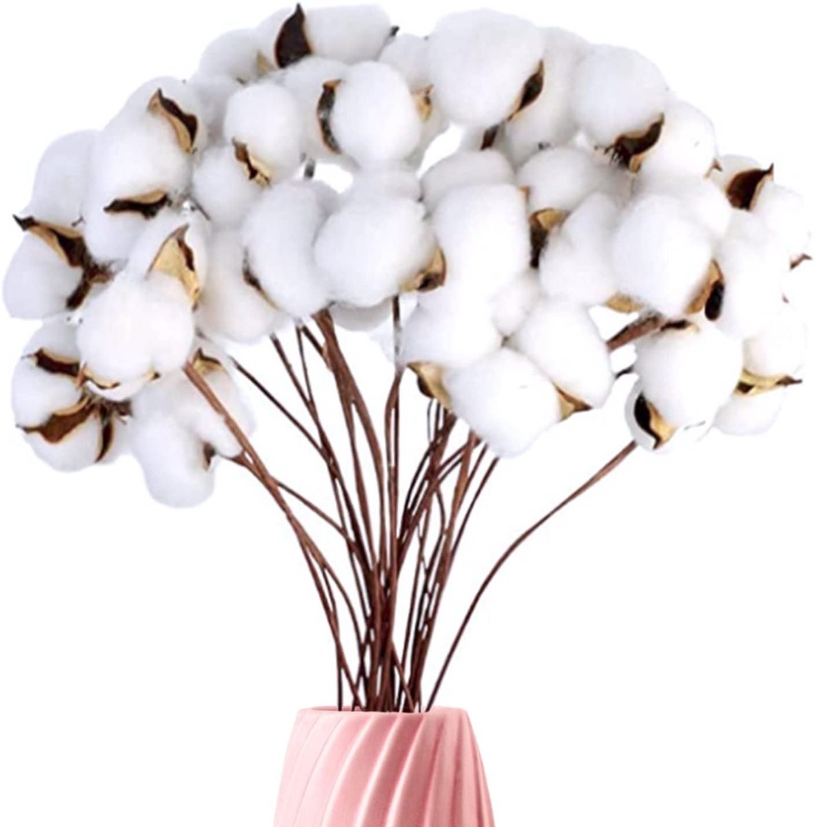 Decoratieve Takken met Natuurlijke Katoen Bloemen - Droogbloemen en Stelen voor Thuisdecoratie, 20 Stuks