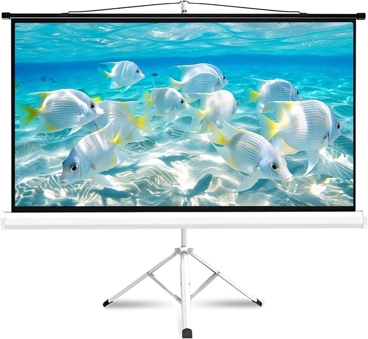 Projectiescherm met Statief - Draagbaar Filmdoek - Buitenfilms Kijken - Lichtgewicht en Compact - 60 Inch 16:9 - Wit