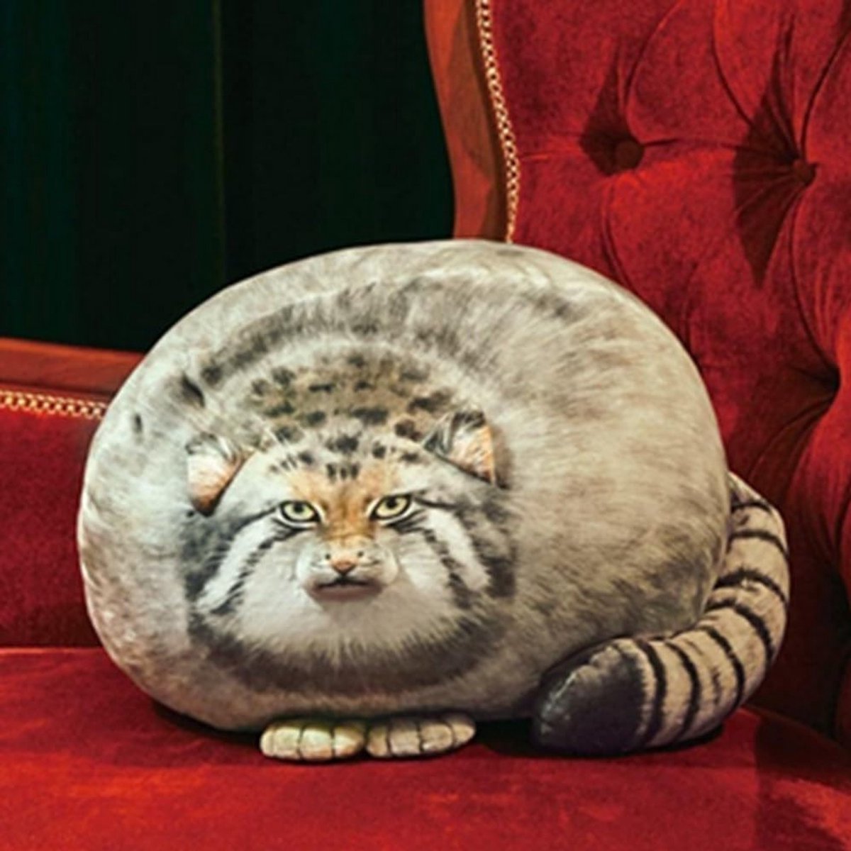 Kawaii Pluche Kussen 45cm Schattige Kat Gequilte Kussen voor Jongens en Meisjes, Perfect Cadeau voor Vrienden