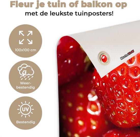 Chiffon de jardin Fraise - Fruit - Graines - 100x100 cm