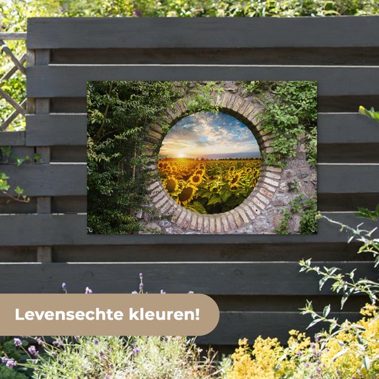 Affiche de jardin - Fleurs - Tournesols - TransparentSoleil - Nuages - Jardin - 120x80 cm - Décoration de jardin - Toile de clôture - Toile de jardin