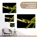 PDP.ProductImage.Thumb.Image.srtText 11