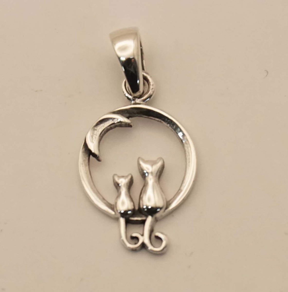 Sterling zilveren hanger van katten in rondje kijken naar de maan - Verliefde katten kijkend naar de maan hangertje van 925 zilver voor aan ketting - katten in rondje met maan hanger - leuke zilveren katten hangertje - 925 silver pendant cat and moon