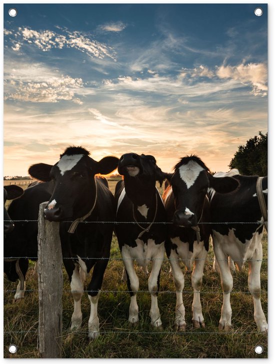 Tuinposter 60x80 cm - Tuindecoratie Dieren - Koe - Koeien - Poster voor in de tuin - Buiten decoratie - Schutting tuinschilderij - Tuindoek muurdecoratie - Wanddecoratie balkondoek