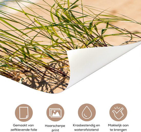 Sticker de porte Brins d'herbe dans les dunes - 80x205 cm - Poster de porte