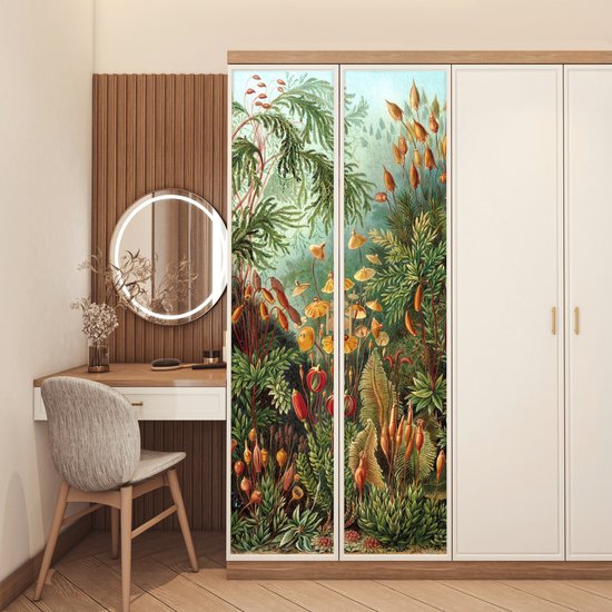 Sticker de porte Muscinae - Art - Maîtres anciens - 80x205 cm - Affiche de porte