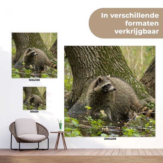 Posters de Posters de jardin Raton laveur - Water - Forêt - 50x50 cm - Toile de jardin - Poster extérieur