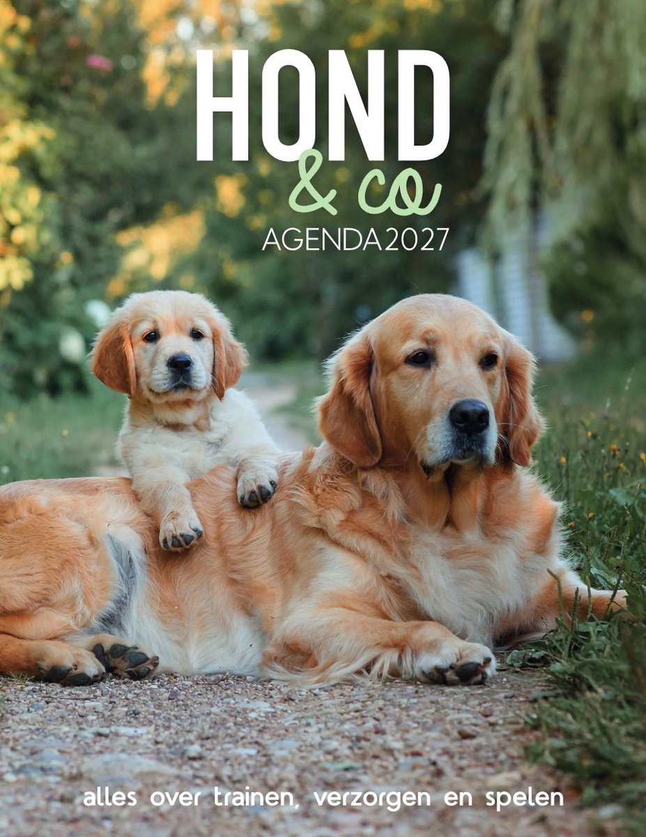 Hond & Co agenda 2027