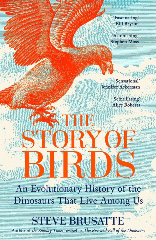 The Story of Birds - cover
