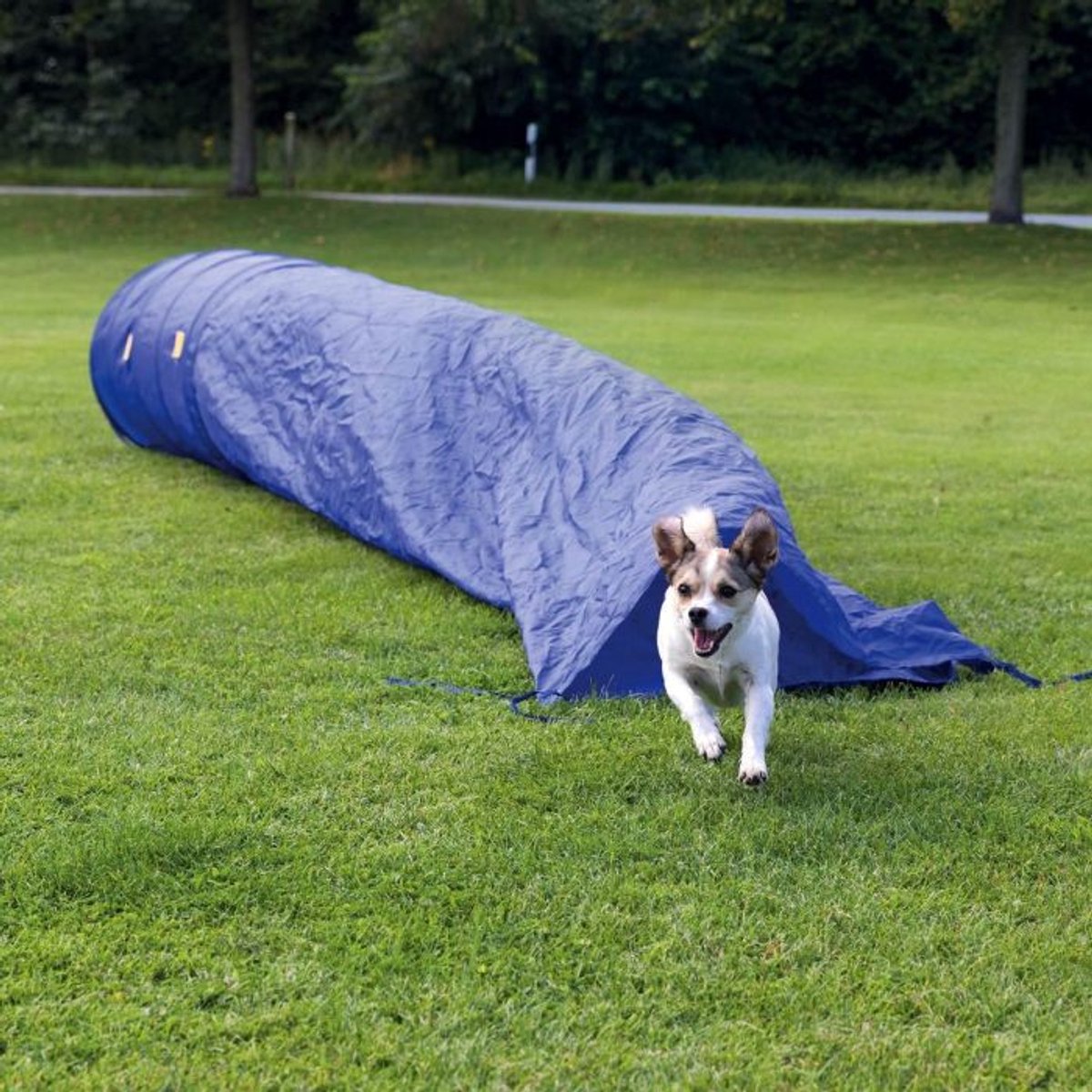 Dog Agility Tunnel met opbergzak