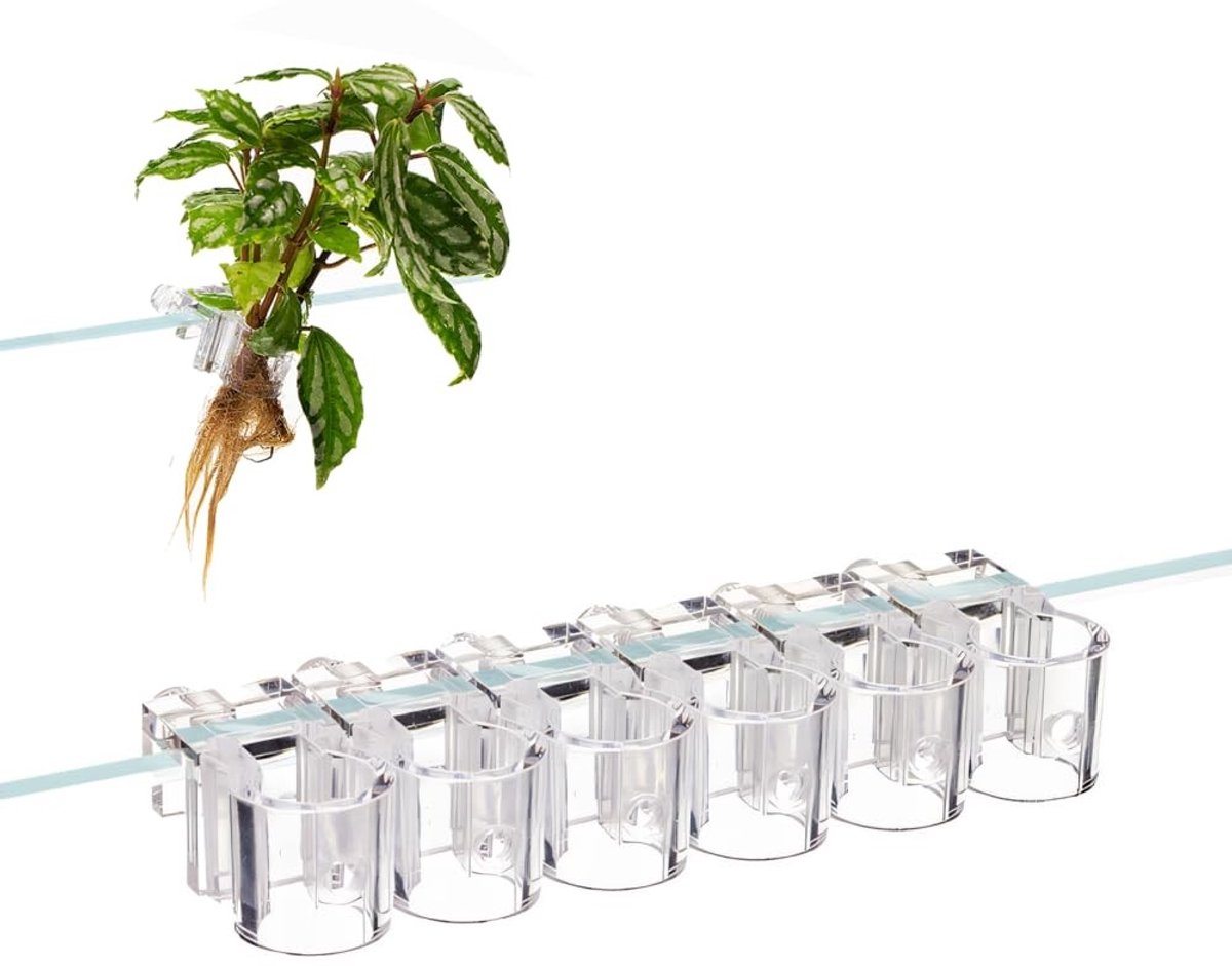 Dailygoods- Aquariumplantenhouder 6-pack - Herbruikbare Waterplantenstandaard - Hydrocultuur Steunklemmen - U-vormig Ontwerp - Hittebestendig Materiaal - Transparant en Onbreekbaar - Plantenstandaard