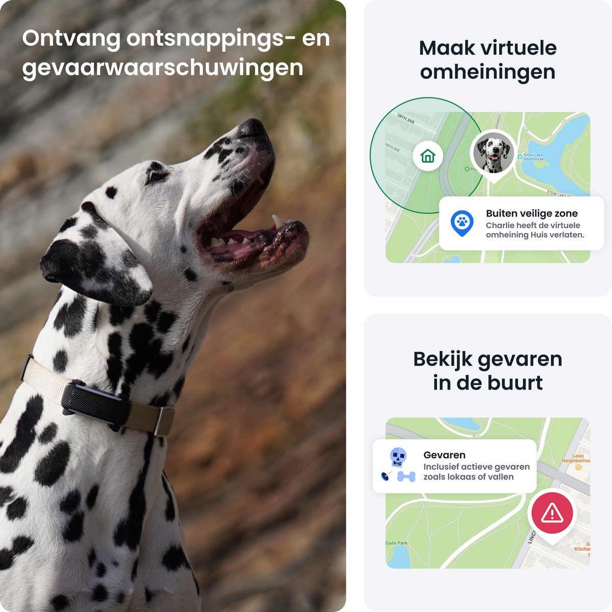 Tractive DOG 6 - Honden GPS met Gezondheid & Activity Functies thumbnail 4