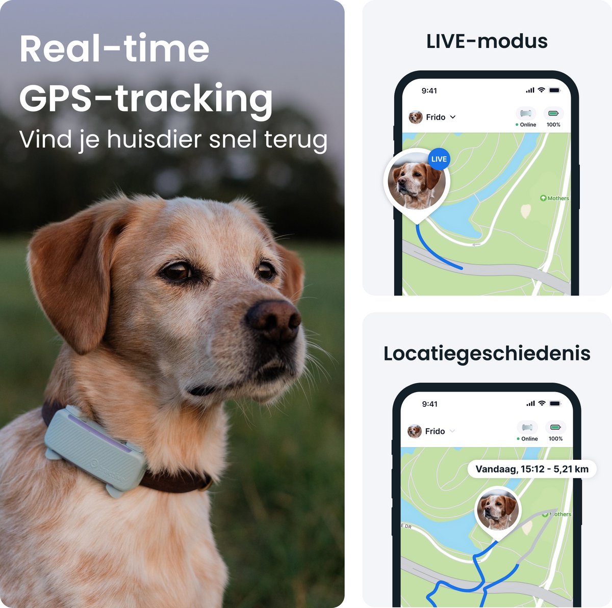Tractive DOG 6 – GPS Tracker voor Honden - Real-Time Locatie, Activiteitenmonitor & Waterdicht - Past op Meeste Halsbanden – Munt thumbnail 4