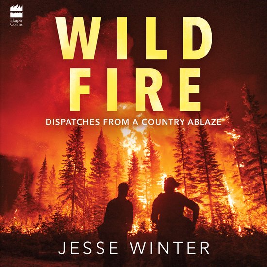 Wild Fire - cover
