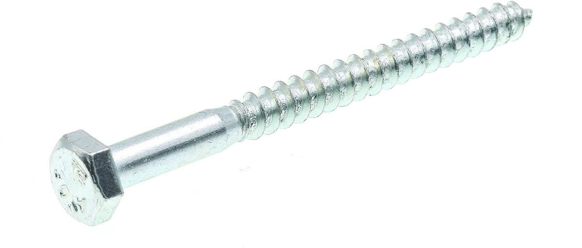 Schroeven Set - Metaal Bevestiging - Stevig Bevestigen - Verzilverd Staal - 100 Stuks - Zilver