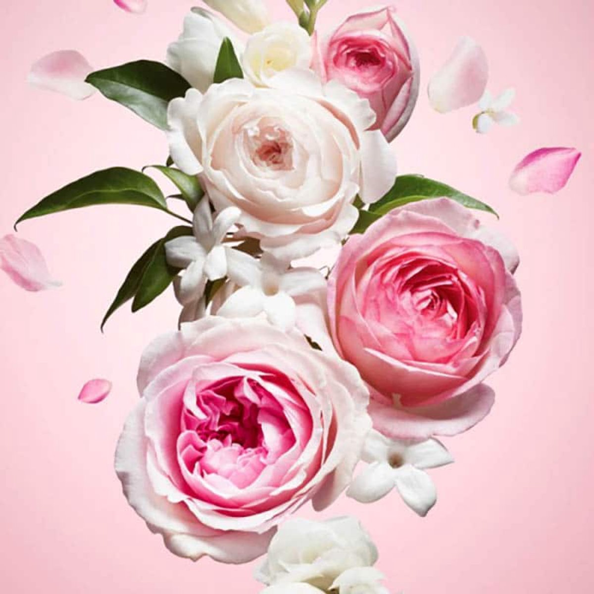 Geurolie – Flower Explosion - 50 ml